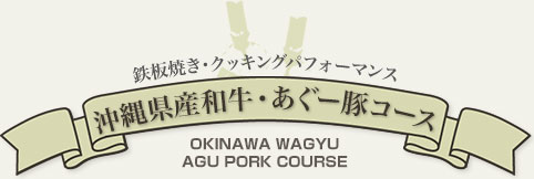 沖縄県産和牛・あぐー豚コース
